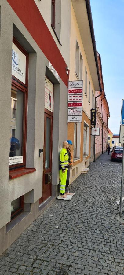 Centrum Apartman Leyla 巴尔代约夫 外观 照片